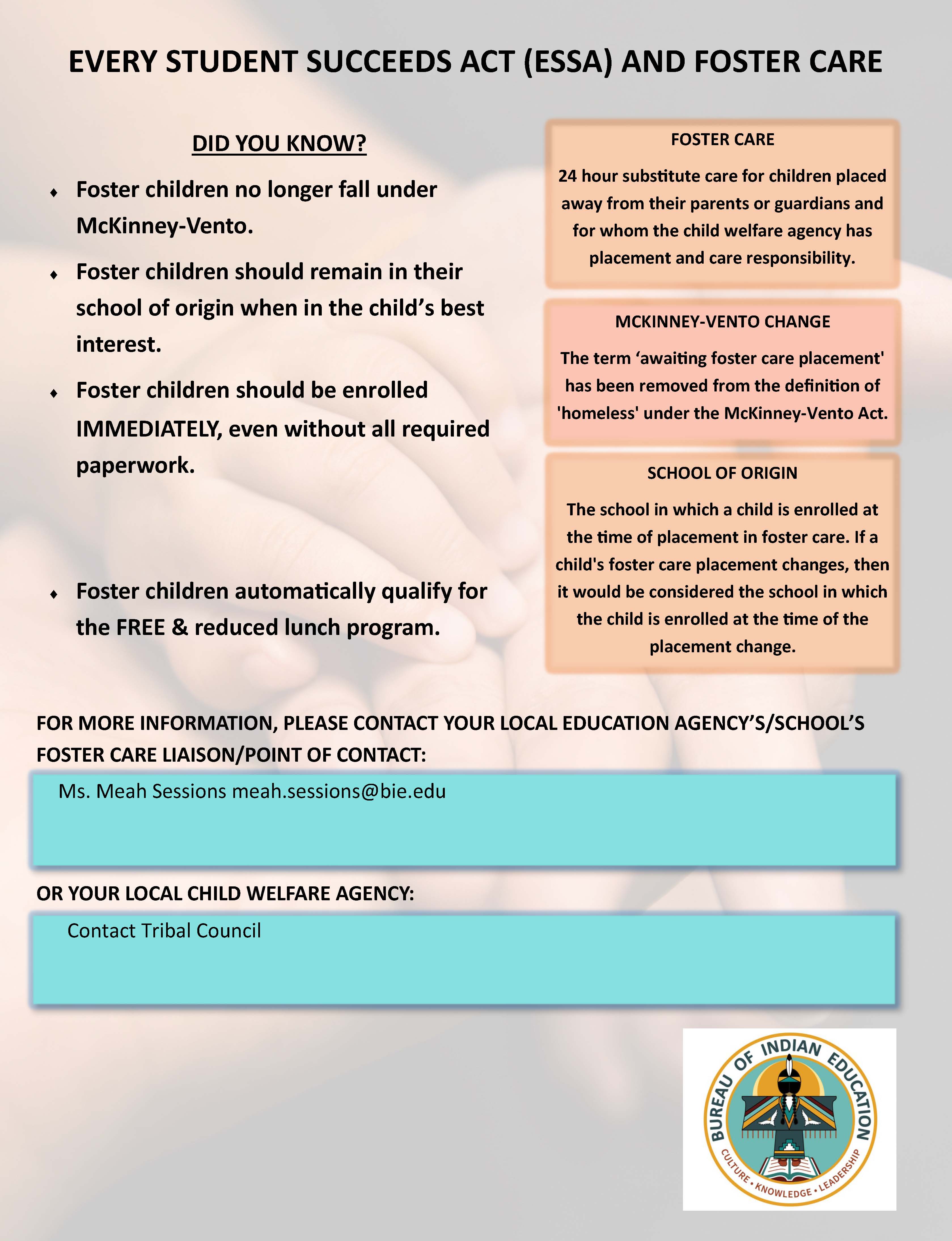 Foster Care Flyer
