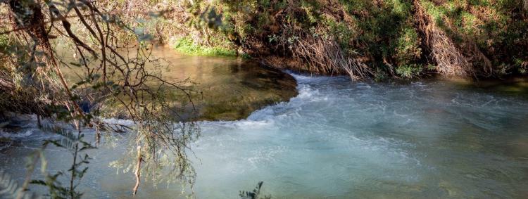 A serene river flows through a lush forest of trees in the Grand Canyon, Arizona, highlighting the landscape.