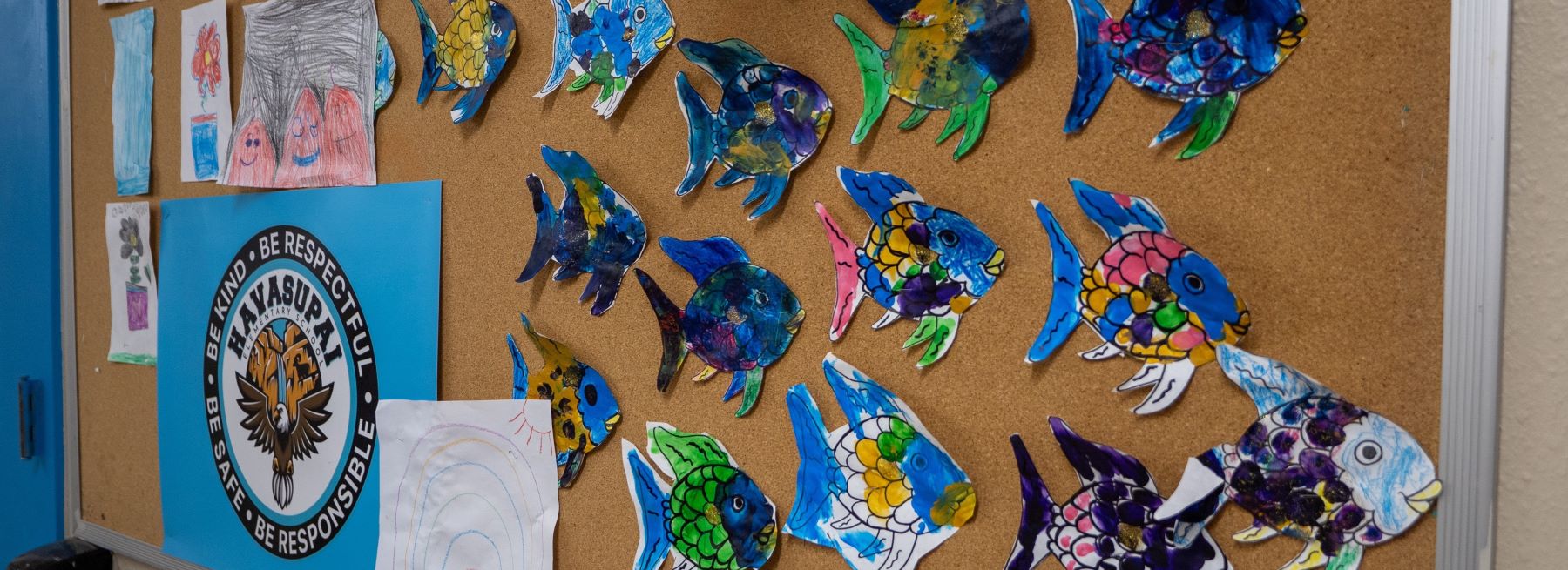 A bulletin board displaying a variety of fish pictures, each one unique in color and shape, creating a vibrant collage.